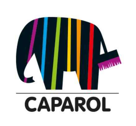 caparol farbe für malerarbeiten in hildesheim